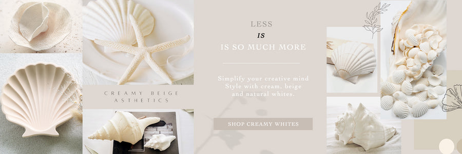 peek a blue creamy white shell and decor collection banner. Click to find white scallop shells, natural white coral, white coastal decor, white cockle shells, white conch shells, creamy white star fish